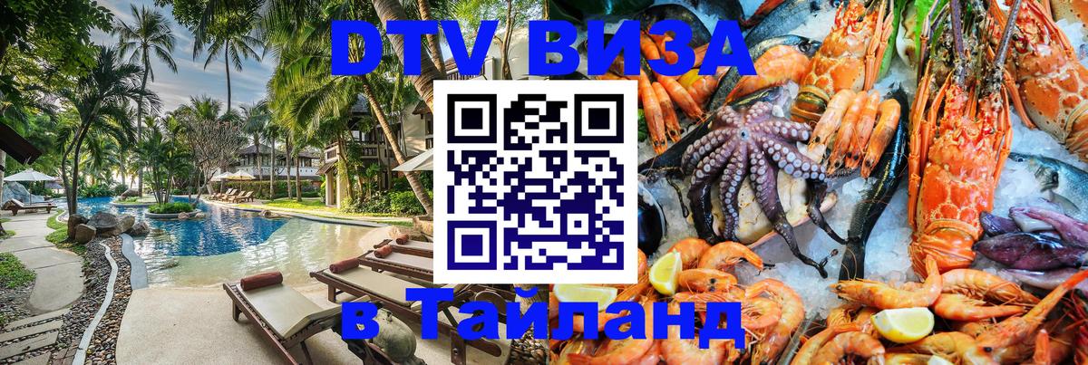 Оформление DTV визы под ключ: стоимость и тарифы, только загранпаспорт - 